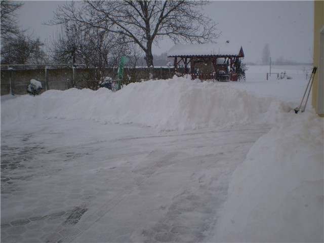snijeg